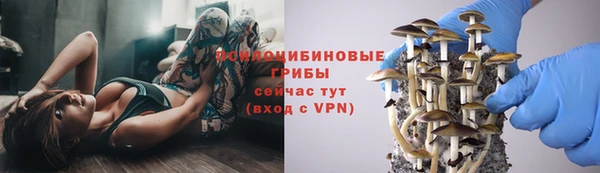 мяу мяу мука Алексеевка