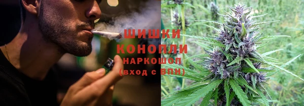 метадон Алексин